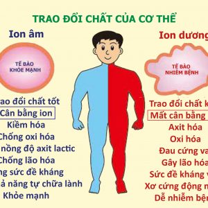 Máy tạo oxy Hidgeem Pro Chính Hãng