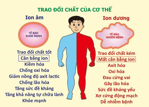 Máy tạo oxy Hidgeem Pro Chính Hãng