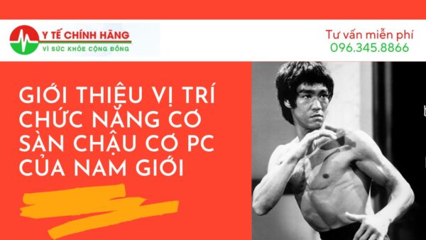 Dụng Cụ Tập Kegel Private Gym