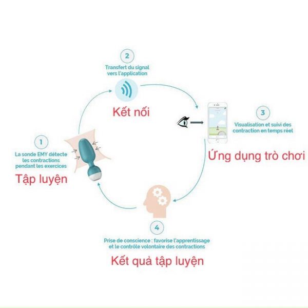 Máy Emy Tập Kegel