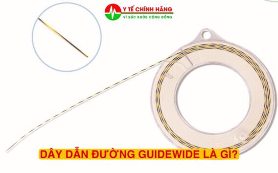 Dây Dẫn Đường Guidewire Zebra