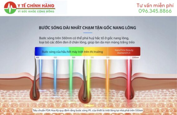 Máy Triệt Lông Nanotime B65PRO