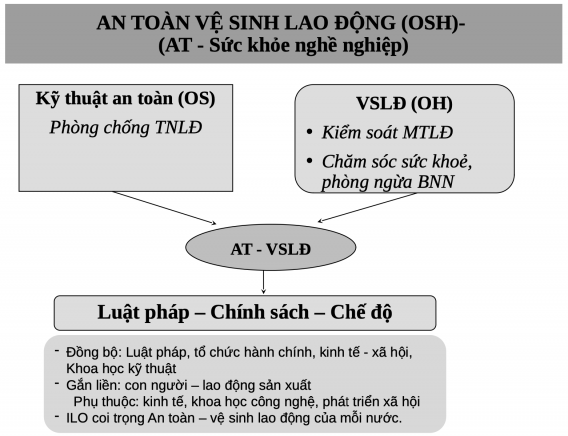 Sức Khỏe và Sức Khỏe Nghề Nghiệp