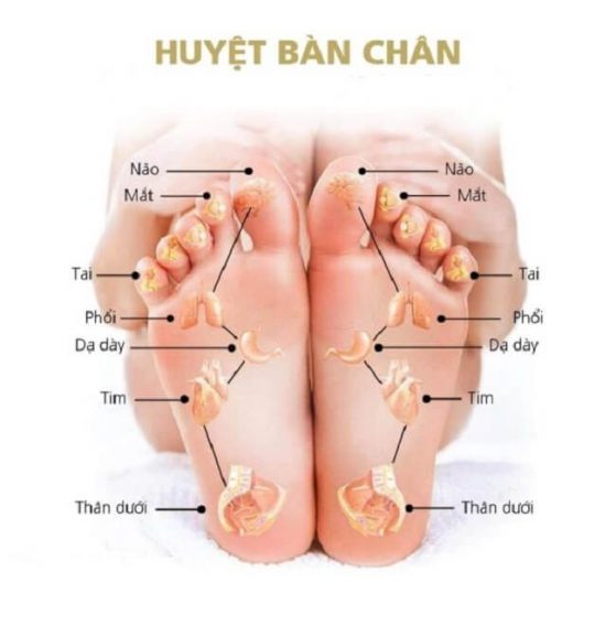 Ngâm Chân Có Tác Dụng Gì Đối Với Cơ Thể?