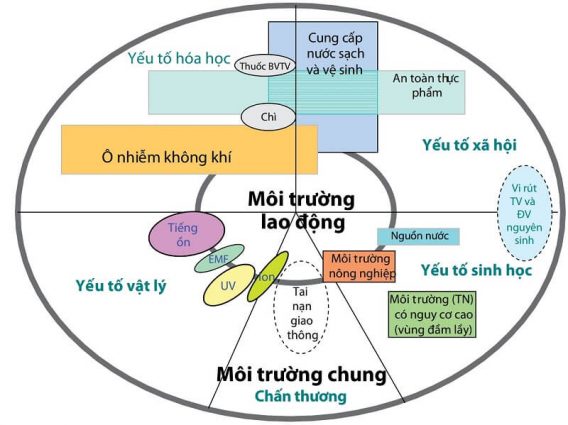 SỨC KHỎE VÀ SỨC KHỎE NGHỀ NGHIỆP