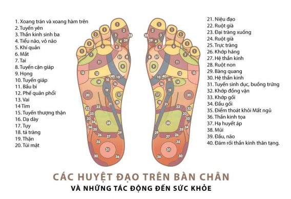 Nên Ngâm Chân Với Thảo Dược Gì Tốt