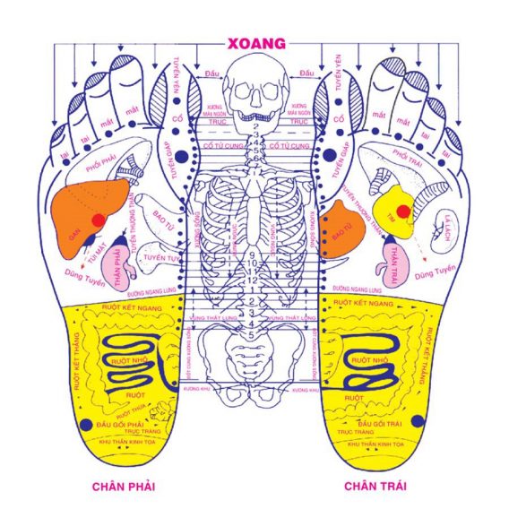 Kiến Thức Cơ Bản Về Ngâm Chân