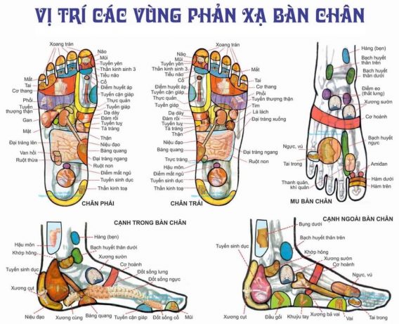 Ưu Điểm và Chức Năng Bồn Ngâm Chân Điện