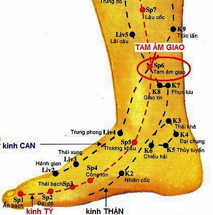 huyệt đạo tam âm giao