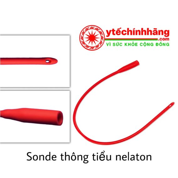 Ong Thong Tieu Sonde Nelaton