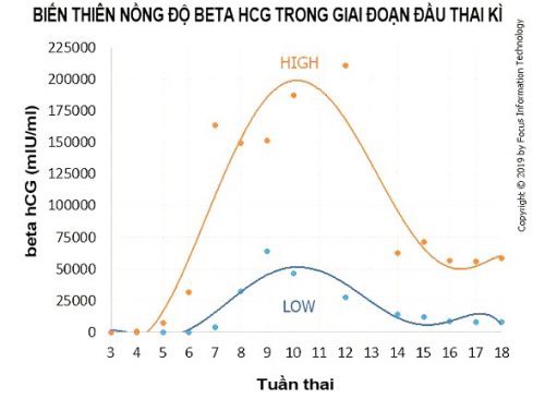 Thử Thai Và Chỉ Số HCG