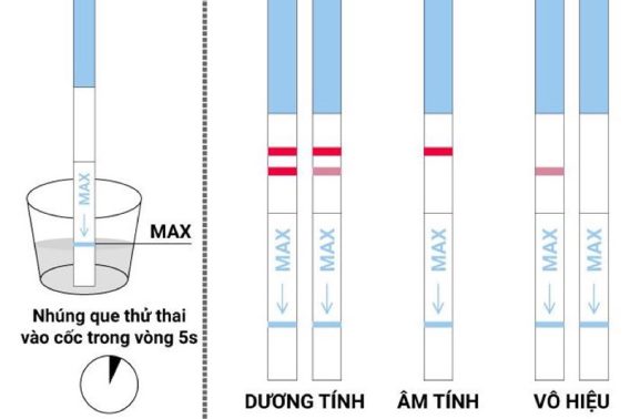 Chỉ Số HCG Và Một Số Khái Niệm