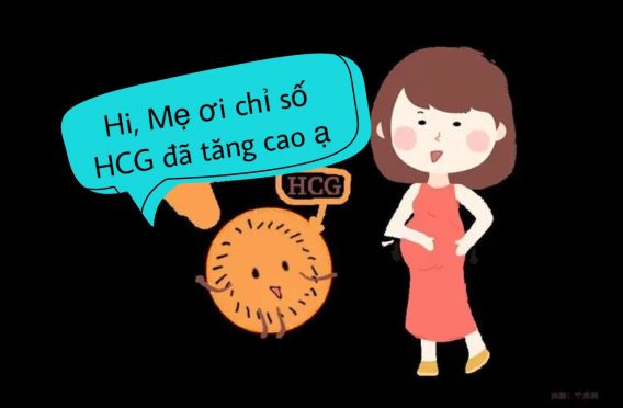 Giá Trị hCG Và Một Số Ý Nghĩa Thai Kỳ