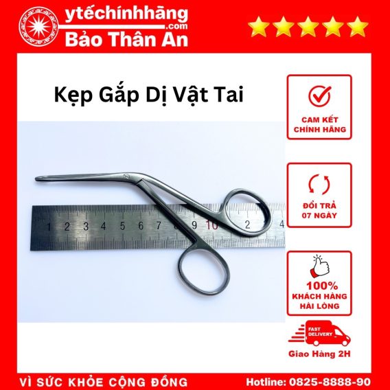 Kep Gap Di Vat Tai 2