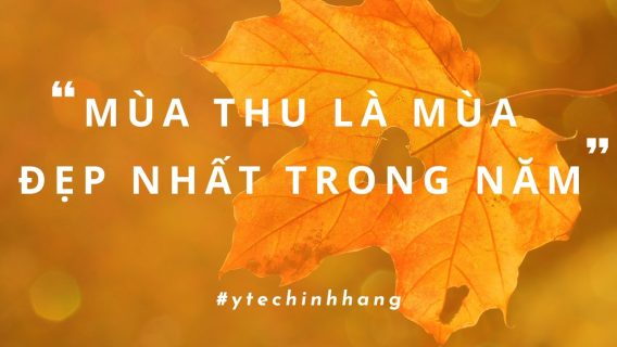 Mua Thu La Mua Dep Nhat Trong Nam