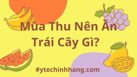 Mua Thu Nen An Trai Cay Gi 10