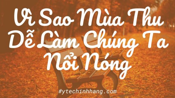 Vi Sao Mua Thu De Lam Chung Ta Noi Nong 8