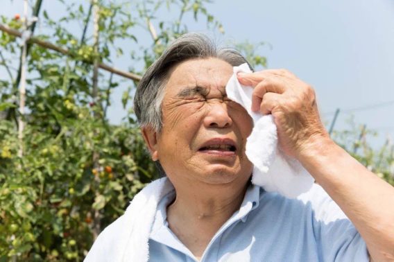 Phân Biệt Đúng Say Nắng Và Say Nóng 15 Phân Biệt Đúng Say Nắng Và Say Nóng